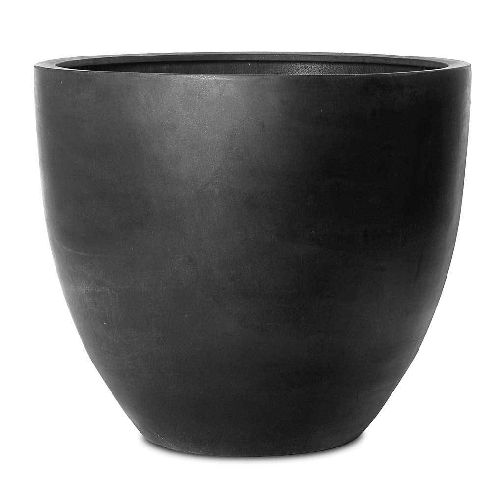 Jesslyn Natural Planter - Medium Plant Display