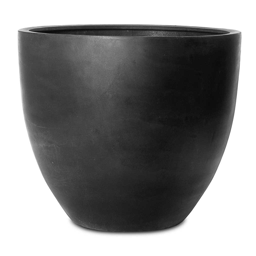Jesslyn Natural Planter - XL Plant Display
