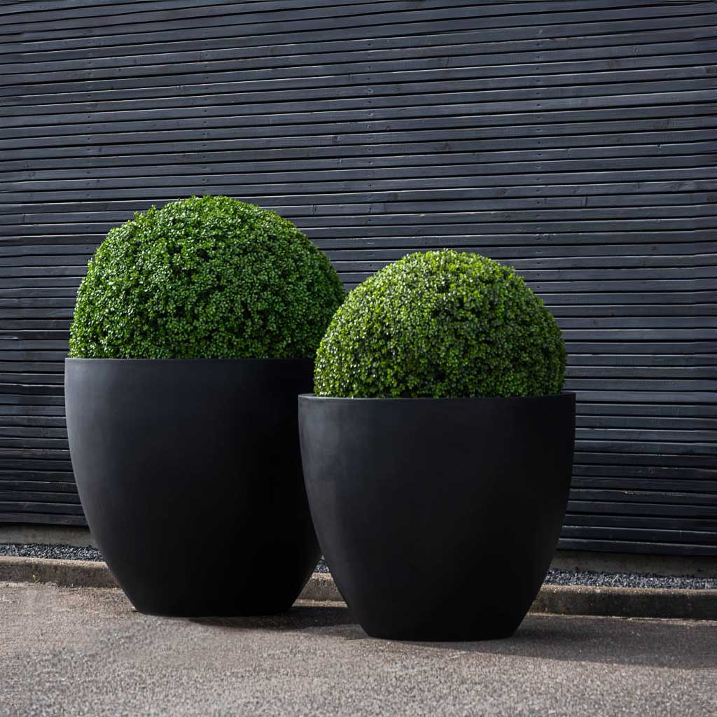 Jesslyn Natural Planter - XL Plant Display
