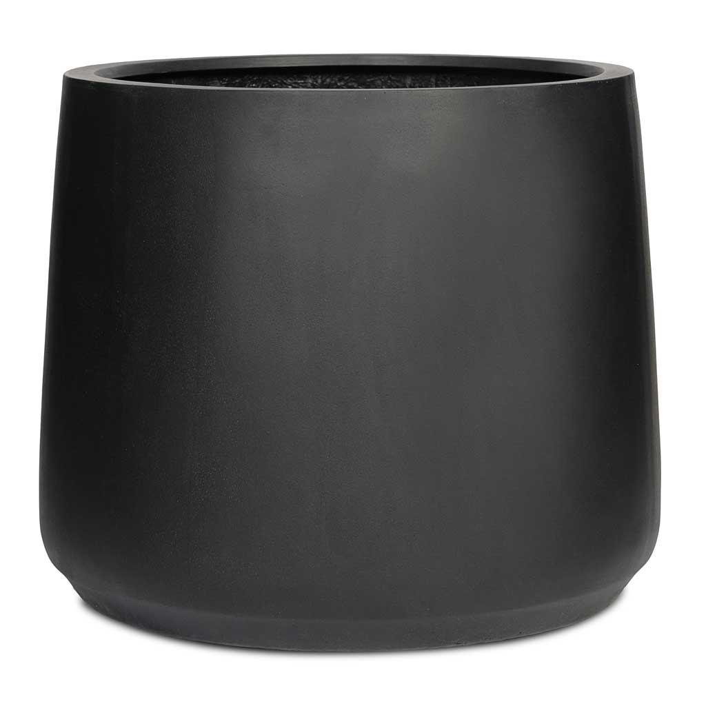 Patt Natural Planter - Large Plant Display