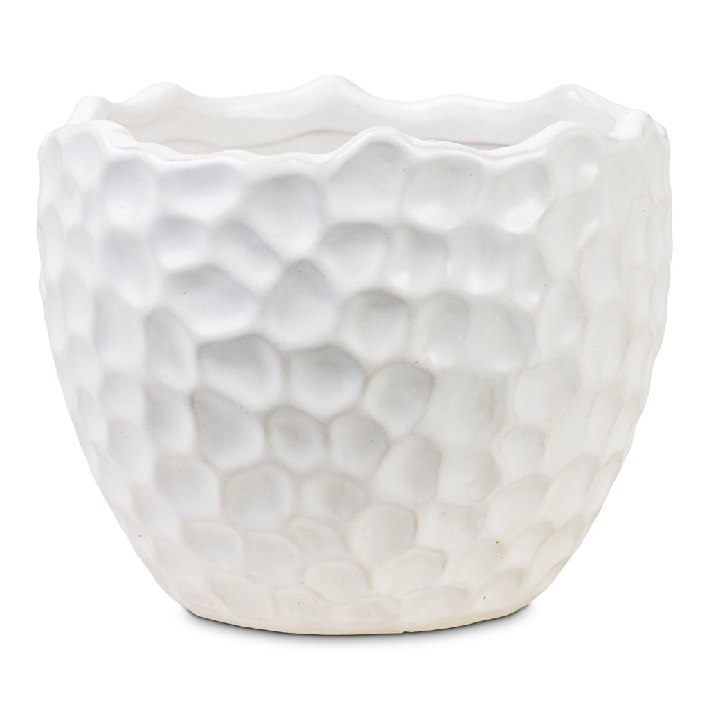 Kew Botanical Textured Plant Pot - White