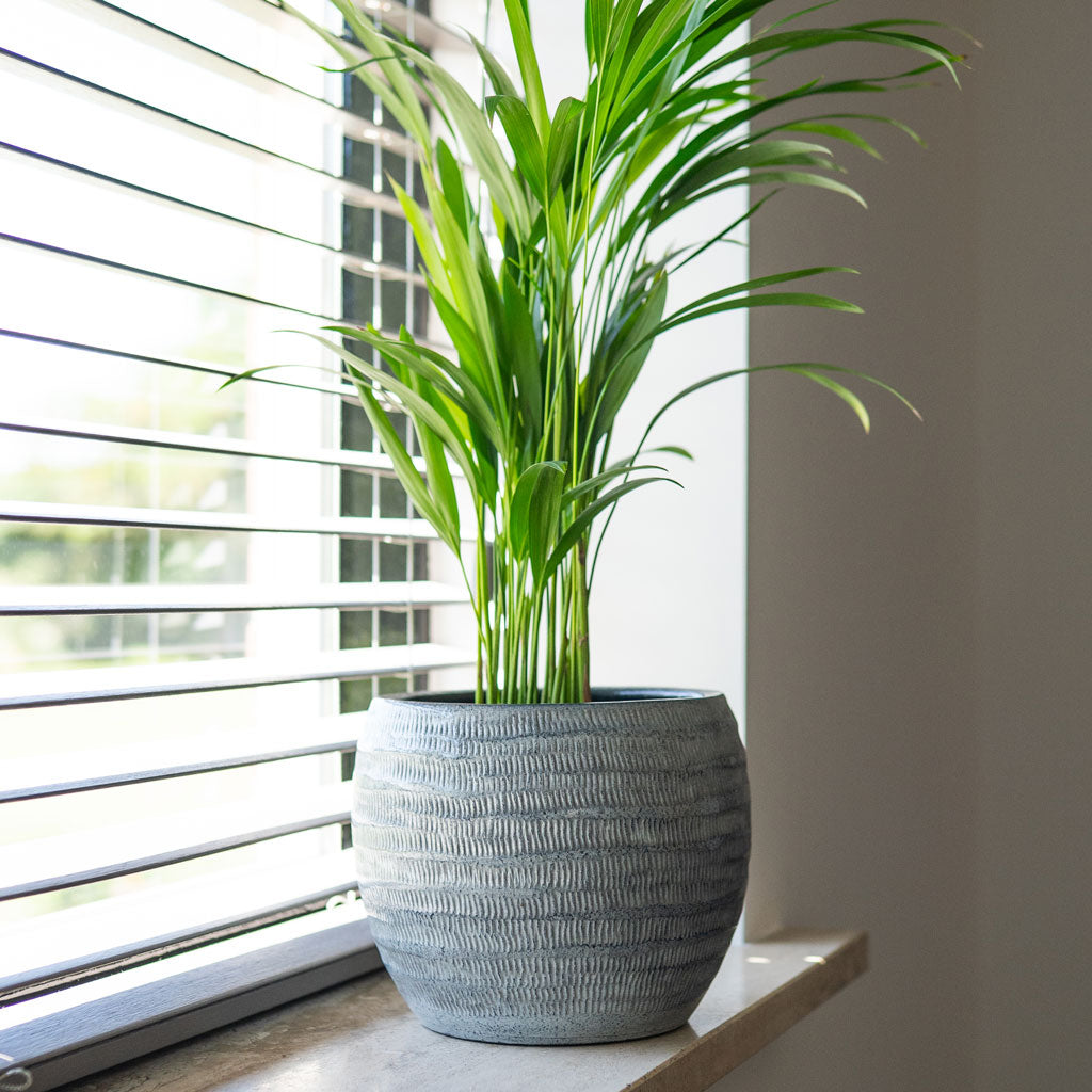 Manuel Plant Pot - Shiny Grey