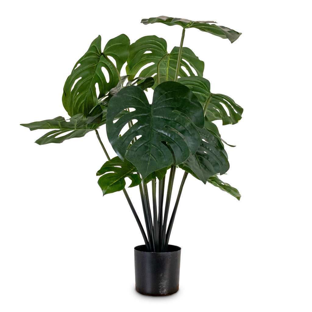 Monstera - Swiss Cheese Plant - Potted - Artificial