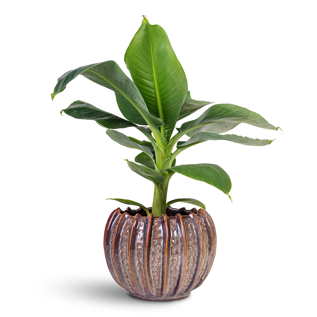Cassie Plant Pot - Mint