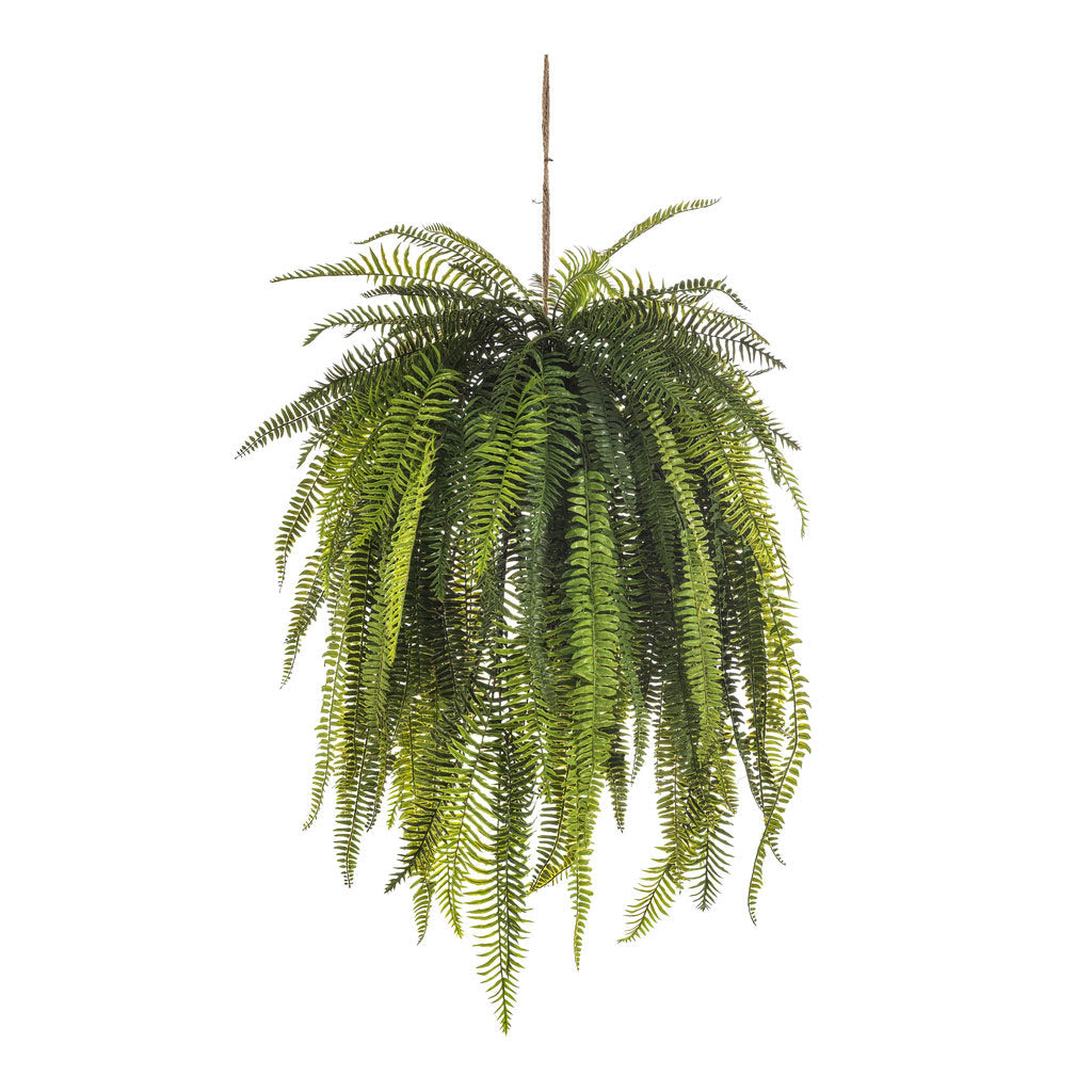 Nephrolepis Hanging Bush - Artificial