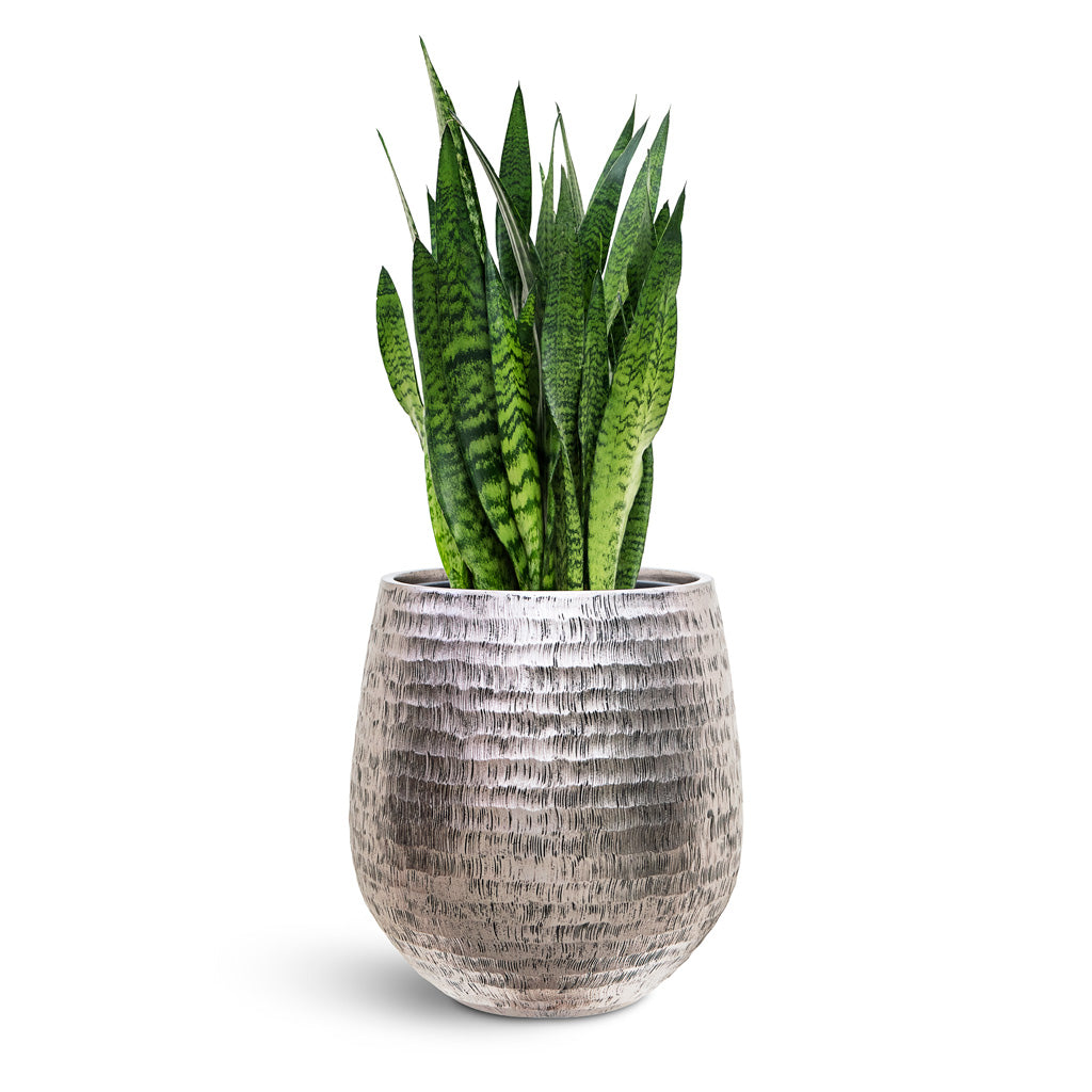 Opus Hammered Darcy Planter - Large Plant Display