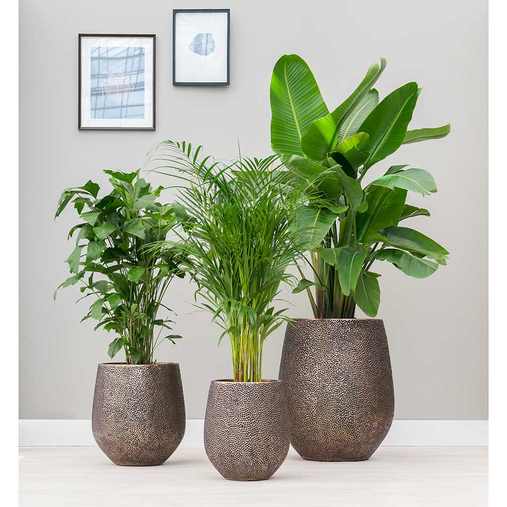 Opus Hit Darcy Planter - Large Plant Display