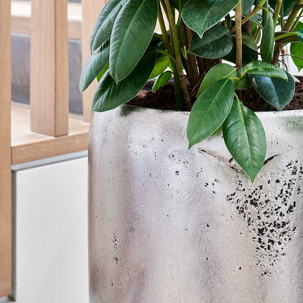Opus Raw Partner Planter - Large Plant Display