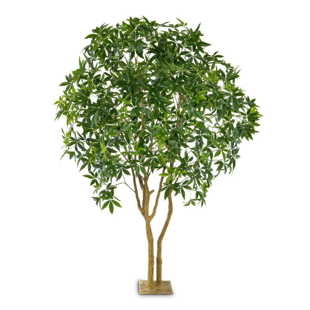 Pachira Multi Trunk Botanic Tree - Artificial