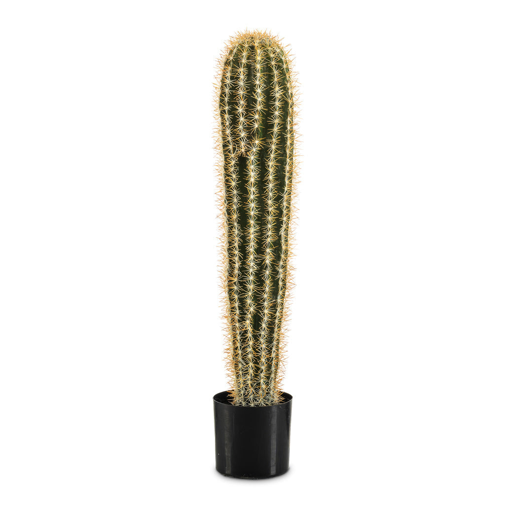 Pachycereus Cactus - Potted - Artificial