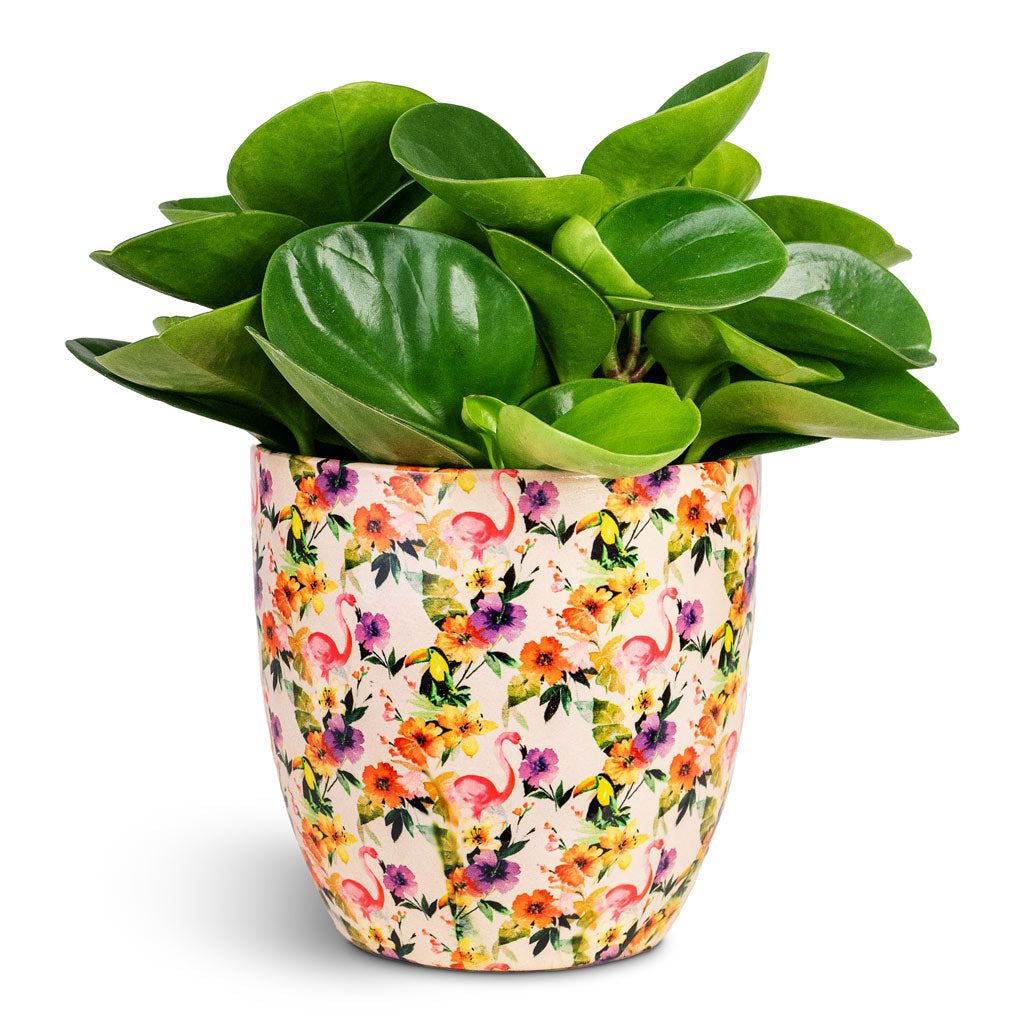 Monza Plant Pot - Floral Flamingo
