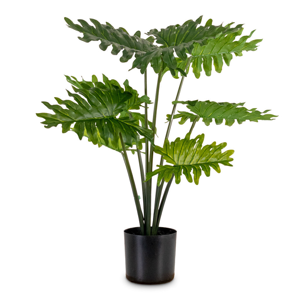 Philodendron - Potted - Artificial
