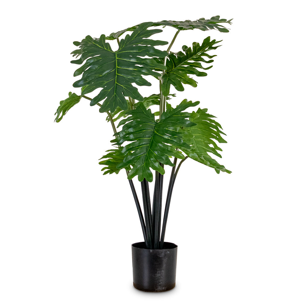 Philodendron - Potted - Artificial