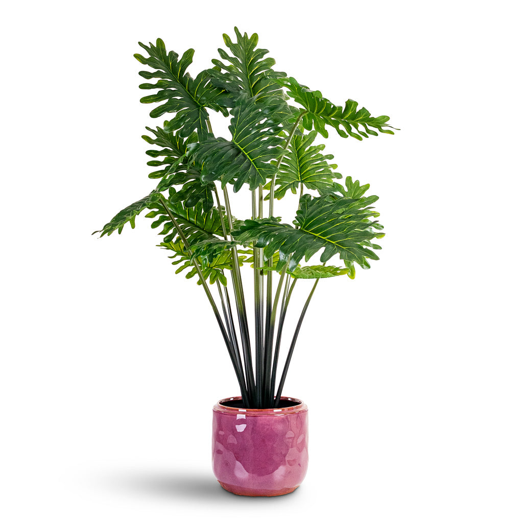 Philodendron - Potted - Artificial