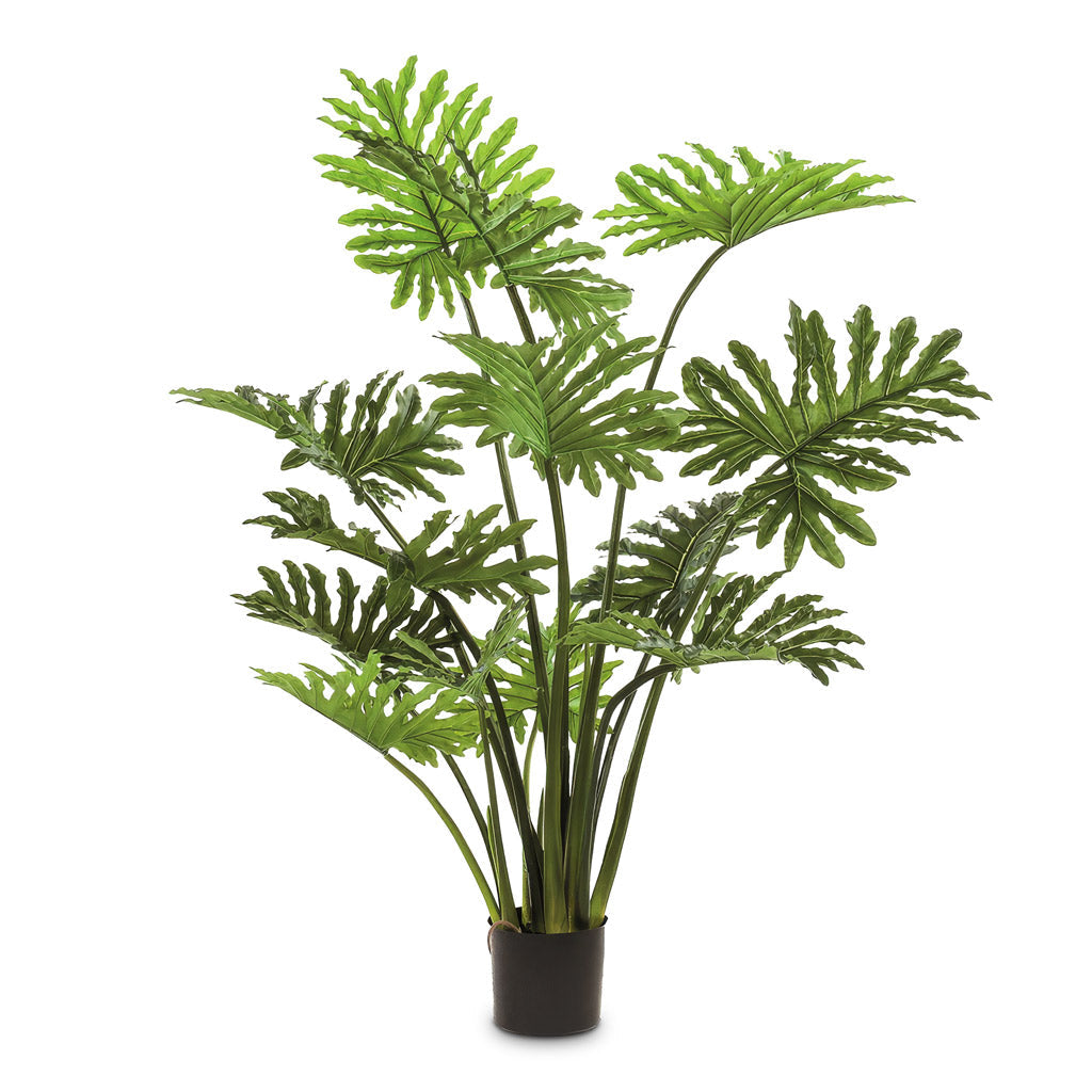 Philodendron selloum - Potted - Artificial