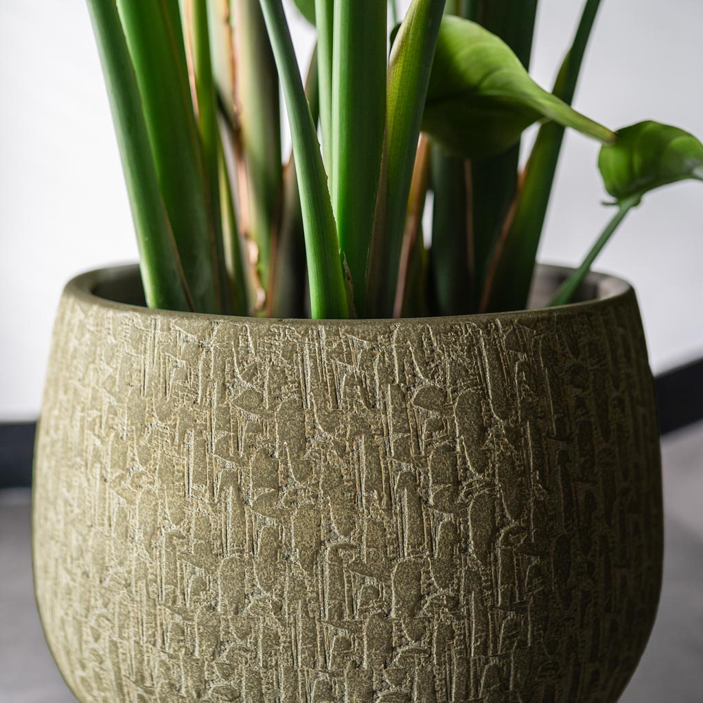Rafael Plant Pot - Olive