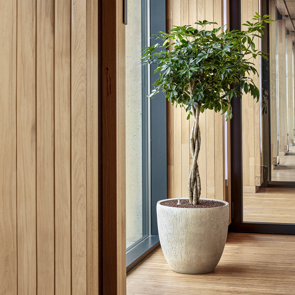 Raindrop Egg Planter - Large Plant Display