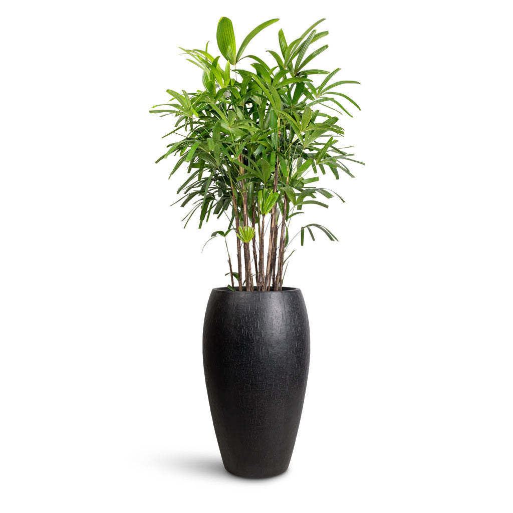 Raindrop Tall Balloon Planter - XL Plant Display