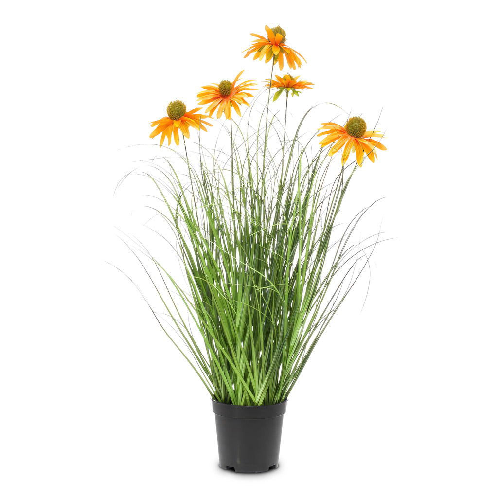 Rudbeckia Grass - Orange - Potted - Artificial