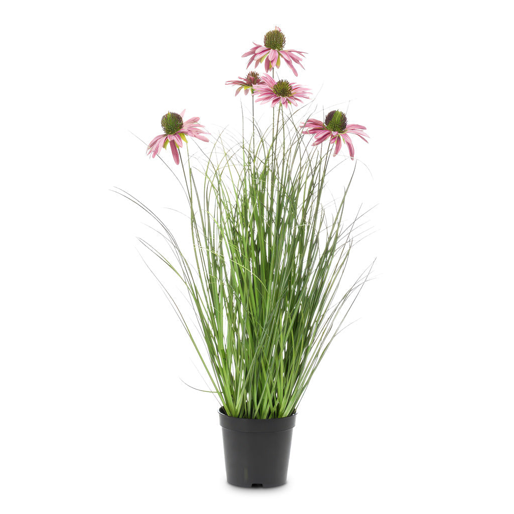 Rudbeckia Grass - Purple - Potted - Artificial