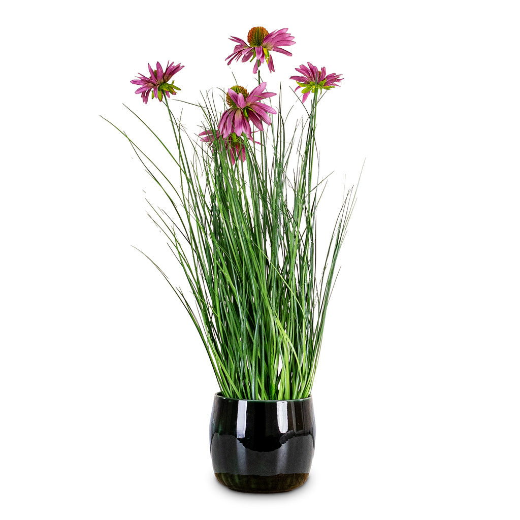 Rudbeckia Grass - Purple - Potted - Artificial