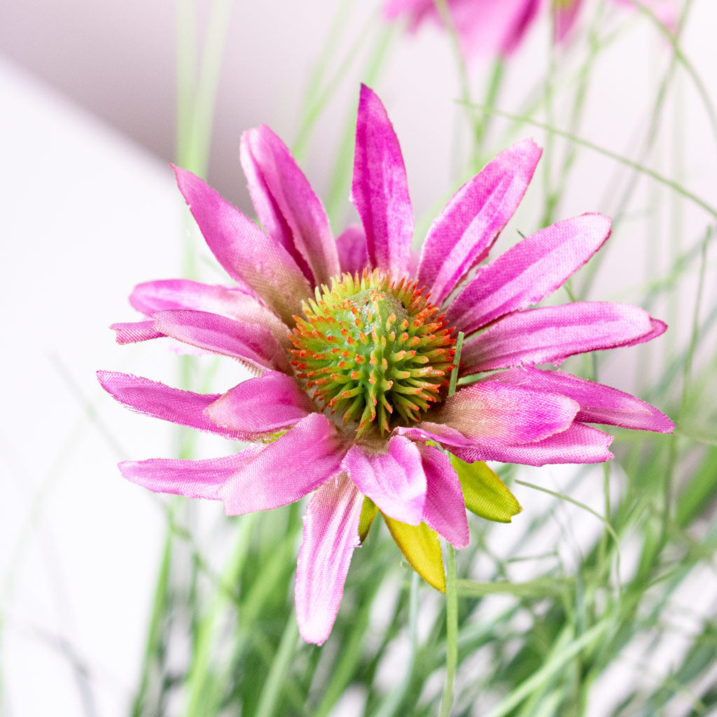 Rudbeckia Grass - Purple - Potted - Artificial