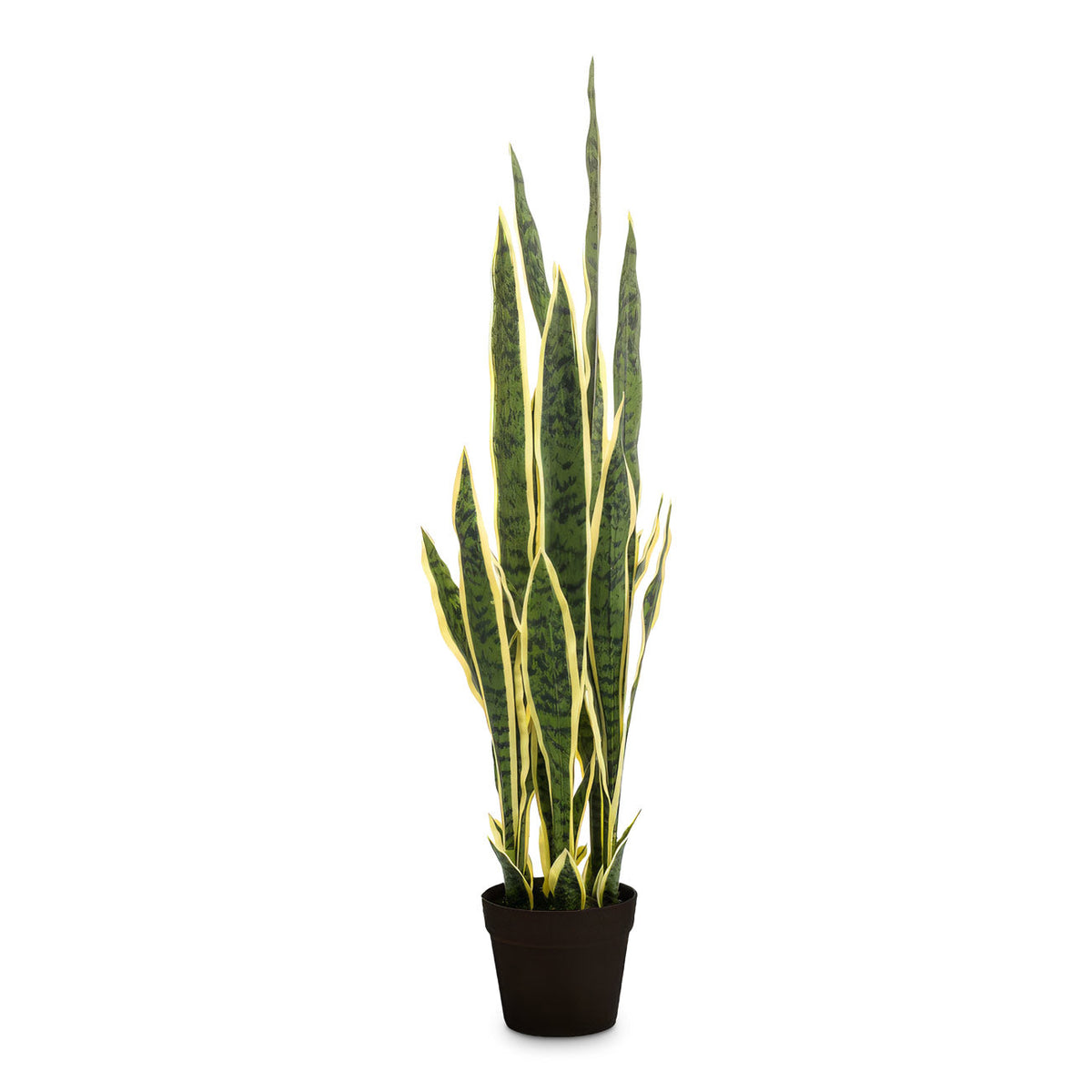 Sansevieria laurentii - Snake Plant - Potted - Artificial