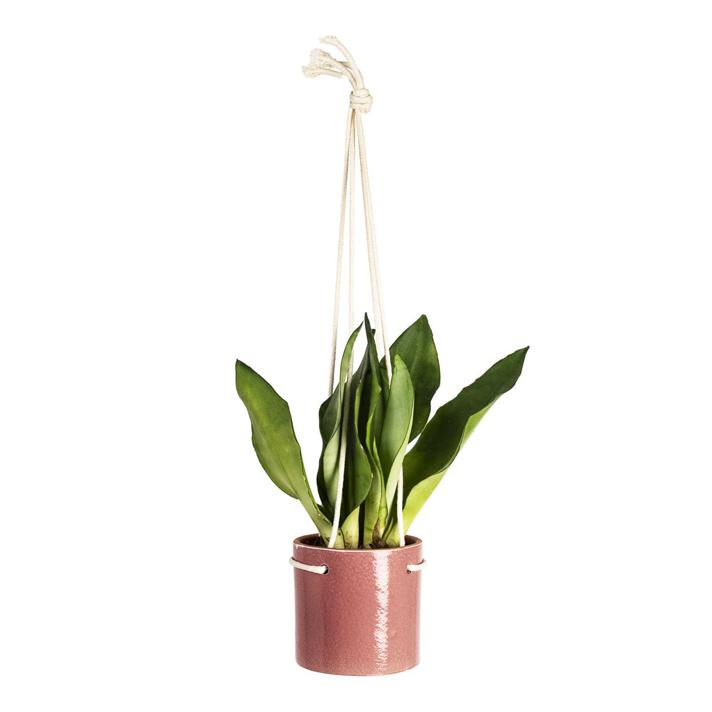 Kai Hanging Plant Pot - Cherry
