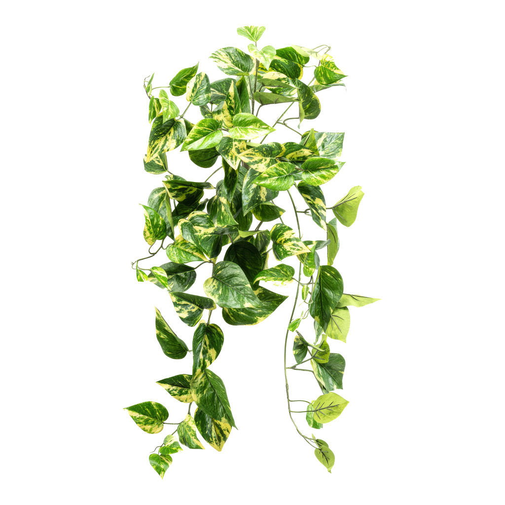 Scindapsus Hanging Bush - FR - Green Yellow - Artificial