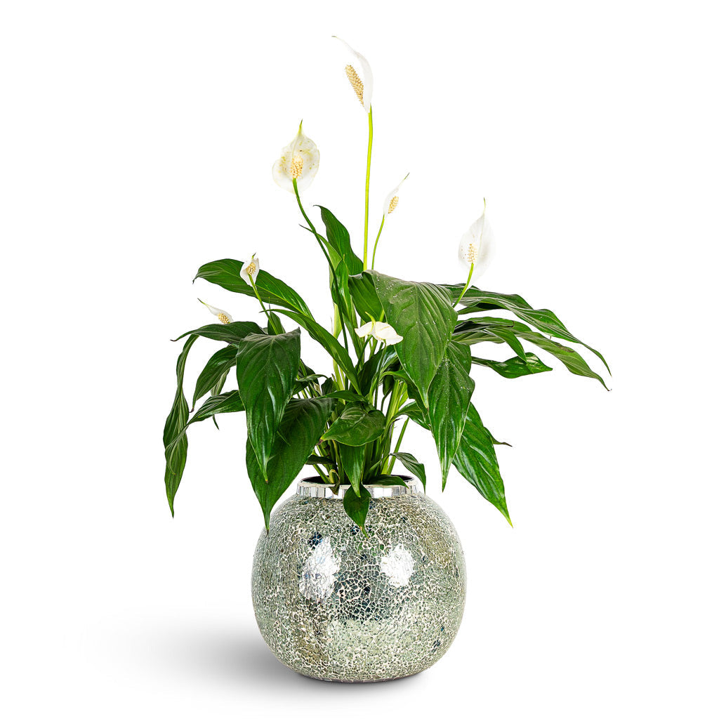 Mosaic Metal Plant Pot - Mirror