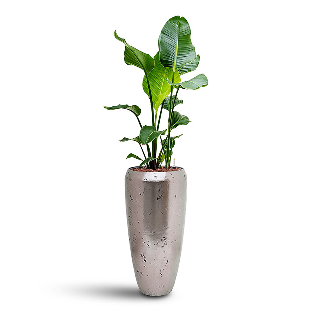 Opus Raw Partner Planter - Large Plant Display