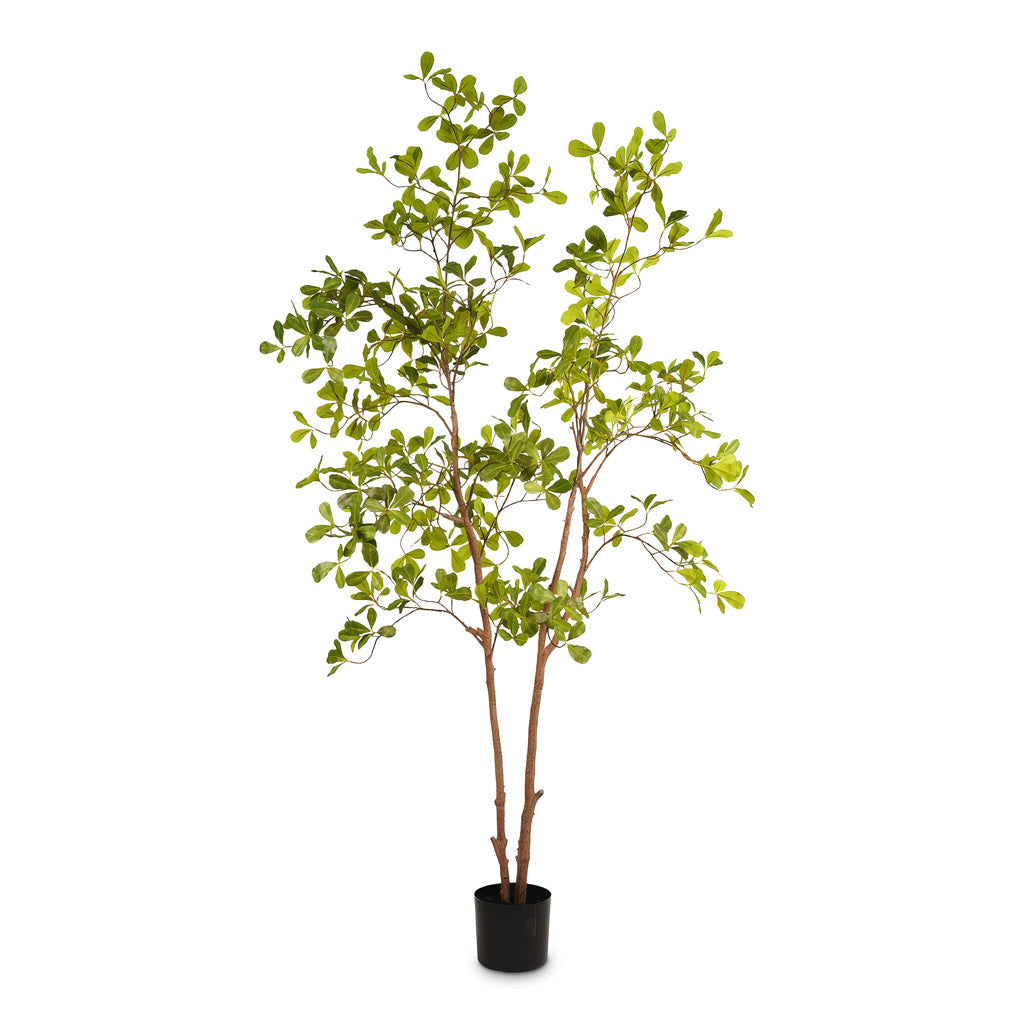 Terminalia Tree - Potted - Artificial