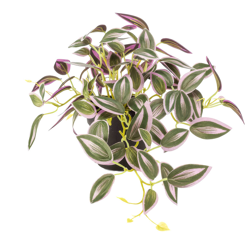 Tradescantia zebrina - Potted - Artificial