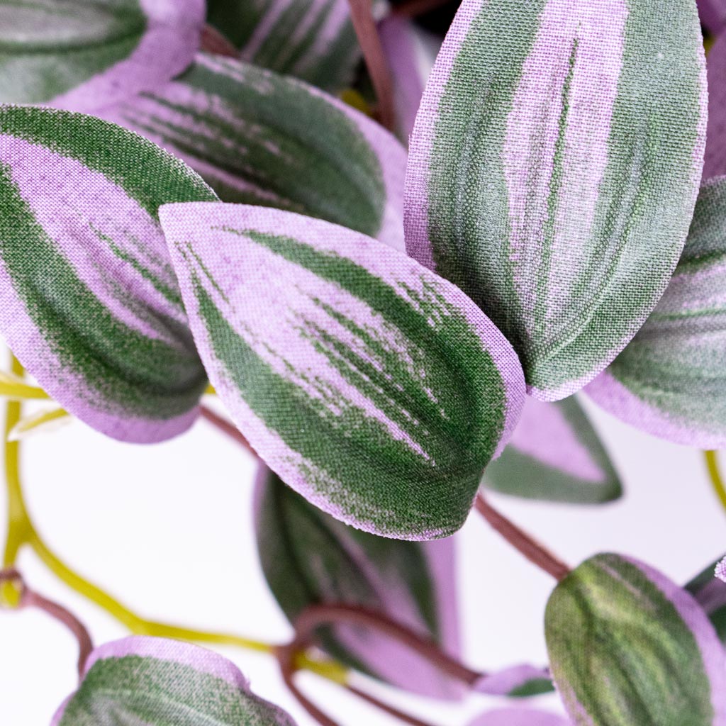 Tradescantia zebrina - Potted - Artificial