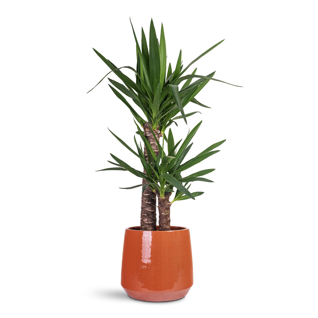 Common Plant Pot - Shiny Brick