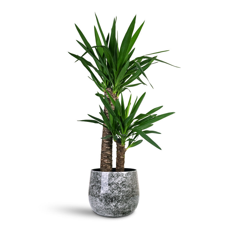 Emmie Metal Pot - Mystic Grey