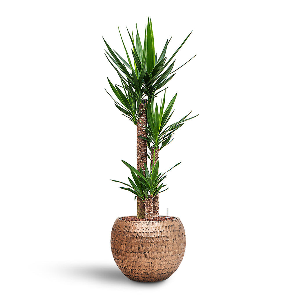 Opus Hammered Globe Planter - XL Plant Display