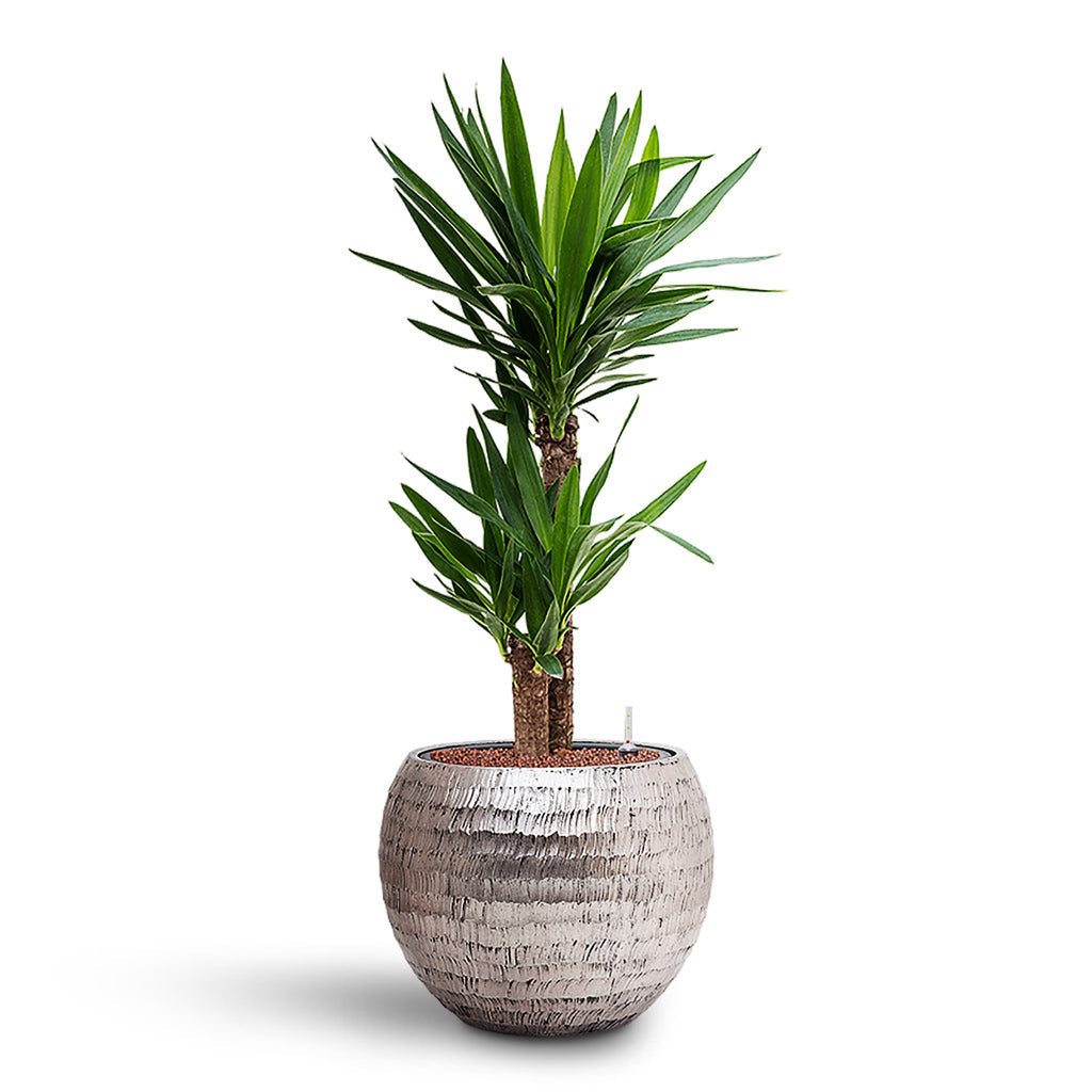 Opus Hammered Globe Planter - XL Plant Display