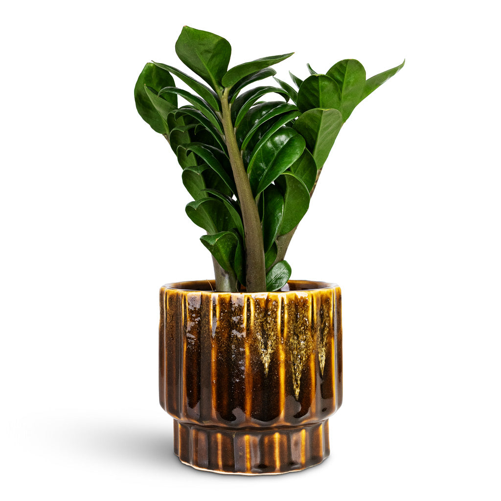 Faye Plant Pot - Savannah