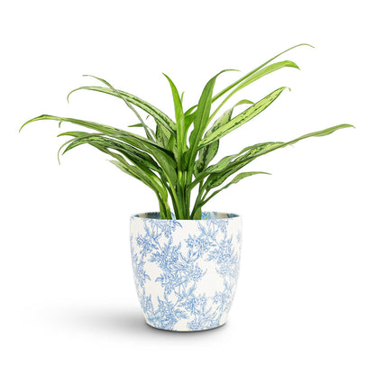 Monza Plant Pot - Vintage Foliage