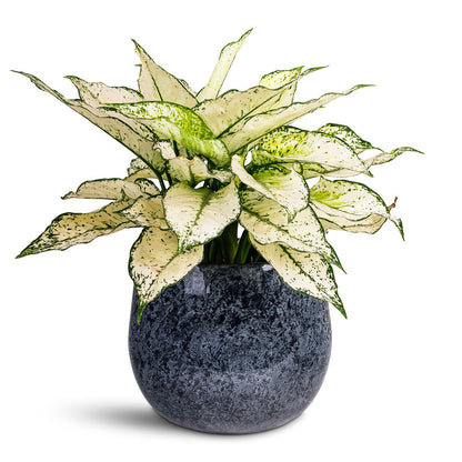 Emmie Metal Plant Pot - Mystic Blue