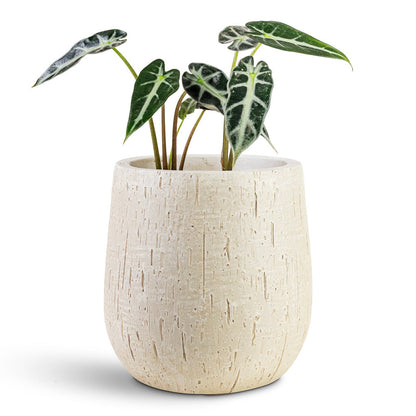 Raindrop Couple Balloon Planter - Large Plant Display