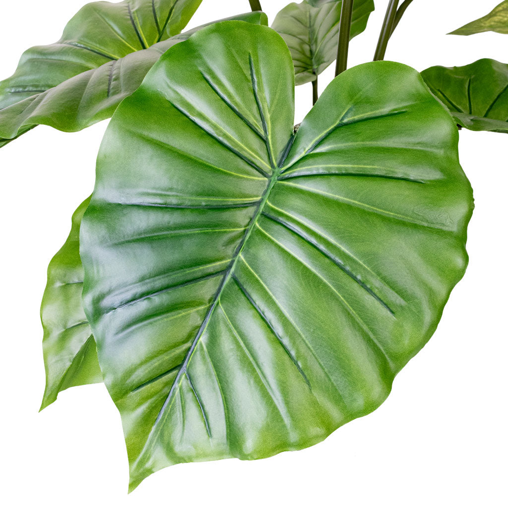 Alocasia Portodora - Upright Elephant Ear - Potted - Artificial