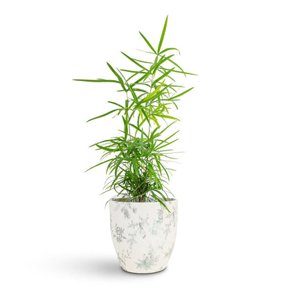 Monza Plant Pot - Vintage Bird