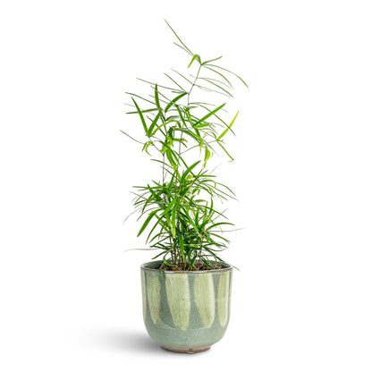 Rowe Glaze Plant Pot - Green Drip