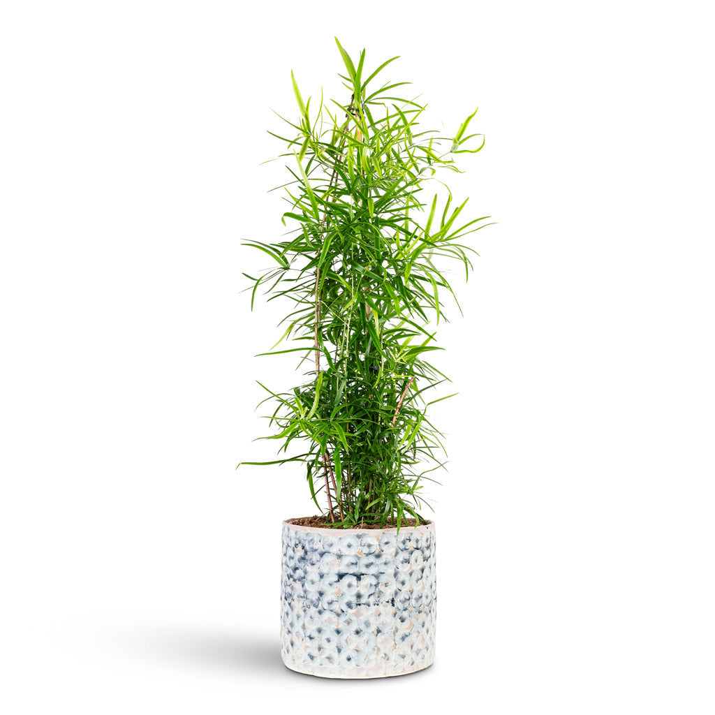 Terni Plant Pot - Denim