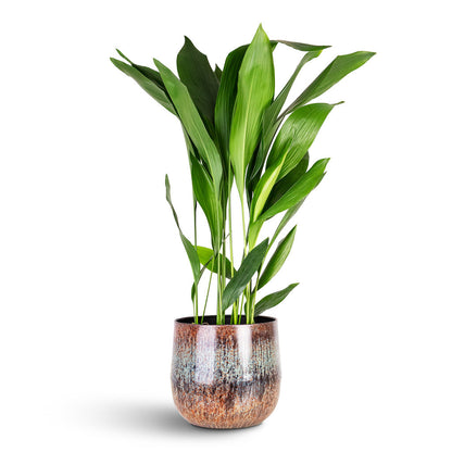 Cilia Metal Plant Pot - Mystic Sepia