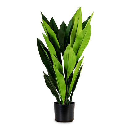 Aspidistra - Cast Iron - Potted - Artificial