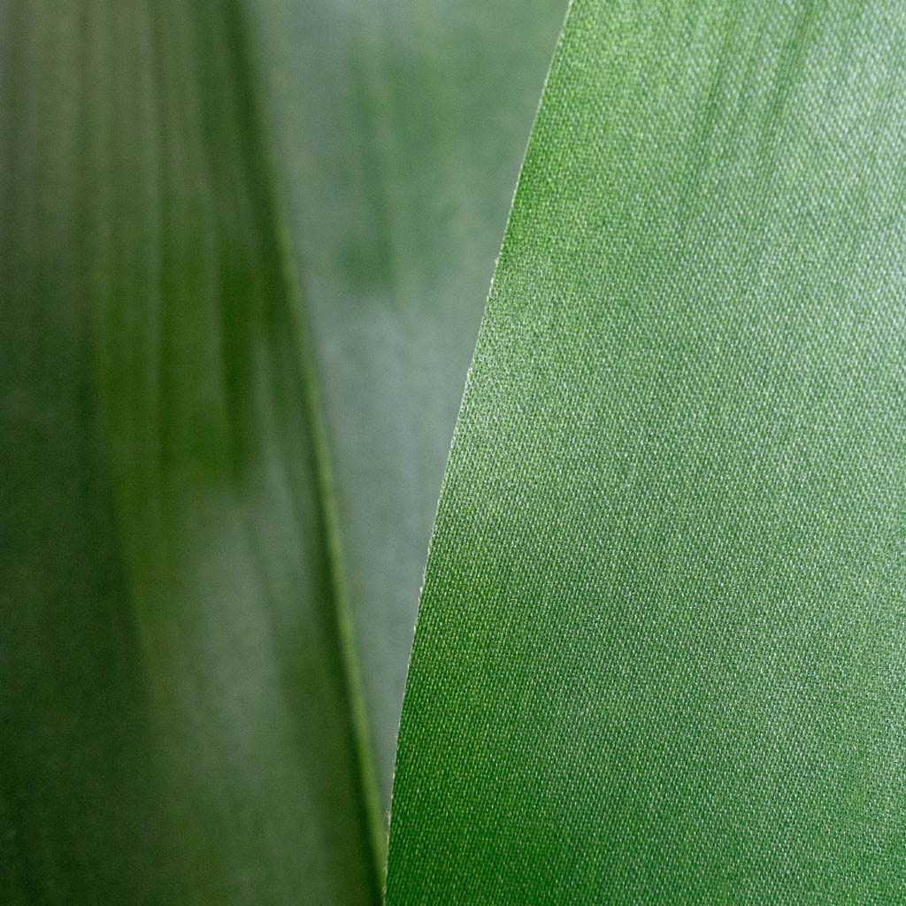 Aspidistra - Cast Iron - Potted - Artificial
