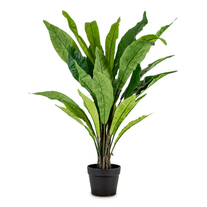 Asplenium Fern - Potted - Artificial